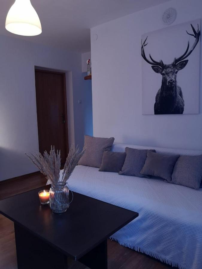 Spokoj Na Pieninskiej Apartment
